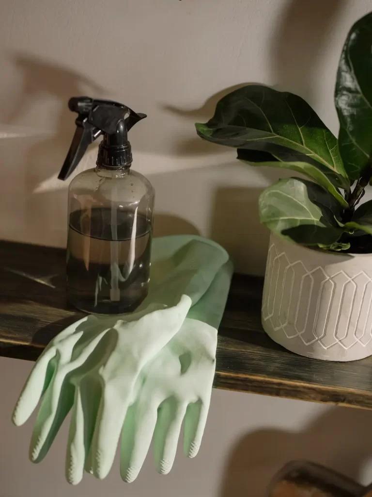 reusable gloves and cleaner spray