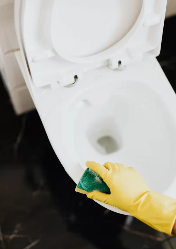 Gloved hand cleaning toilet