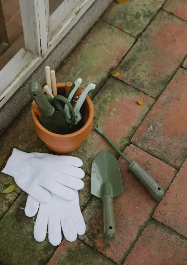 10 essential gardening tools every gardener should have