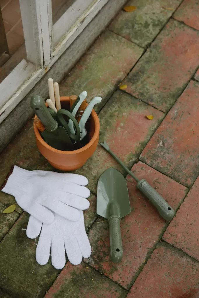 gardening tools on ground outside