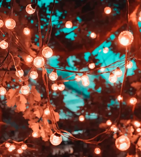 fairy lights in trees outside
