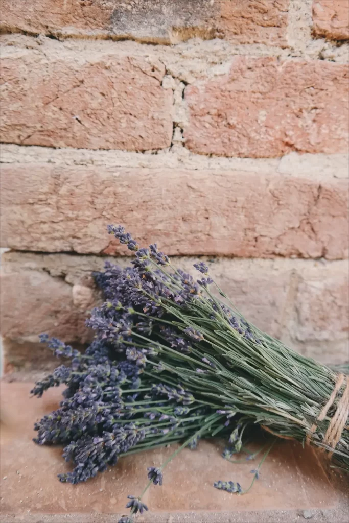dried lavender in a bunch in front of brick wall