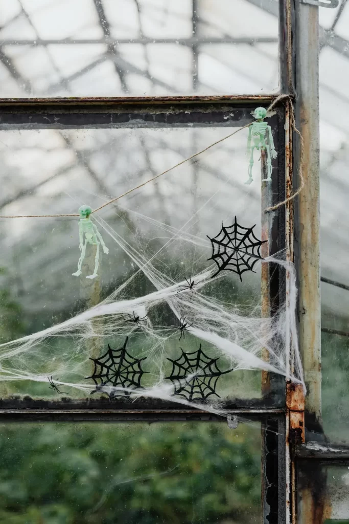 halloween decor. fake spiderwebs