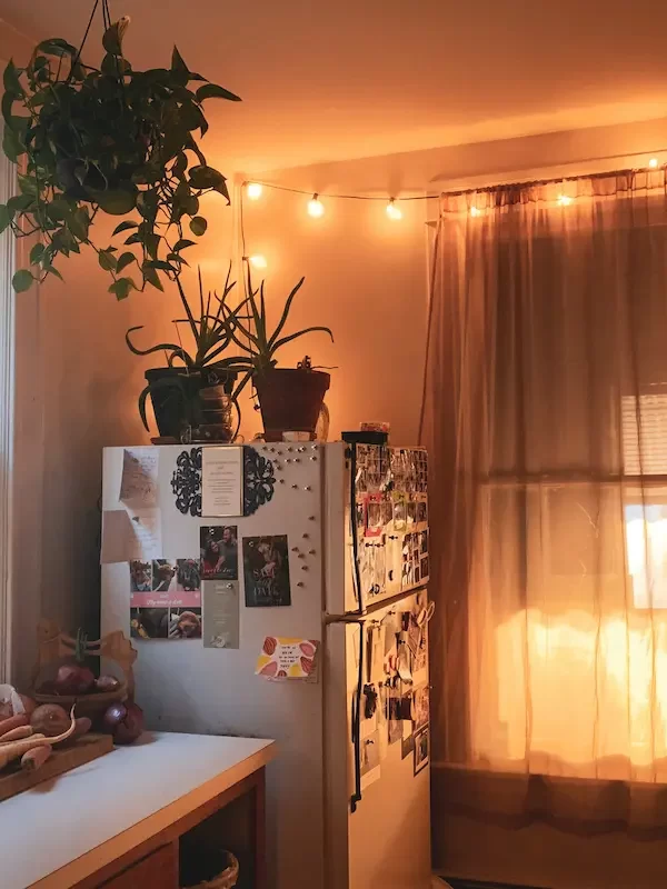 string lights hanging in apartment kitchen