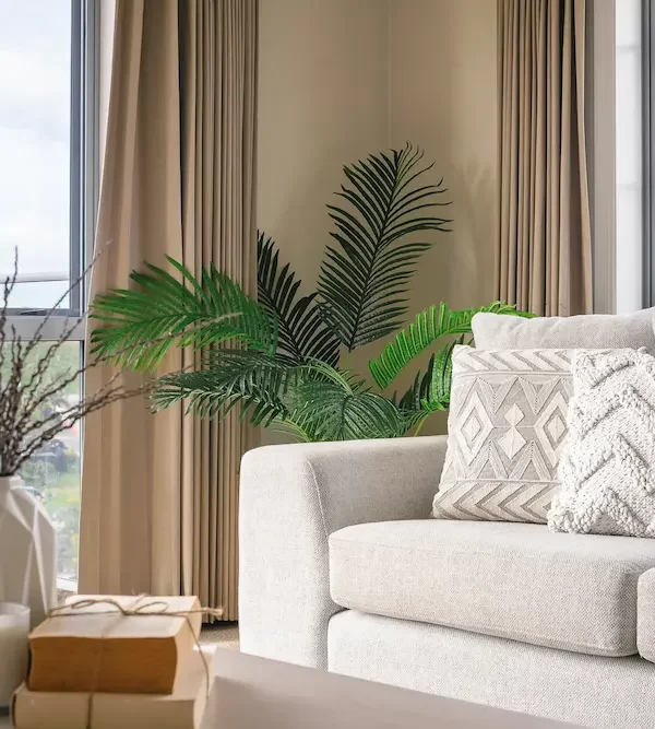 throw pillows on couch