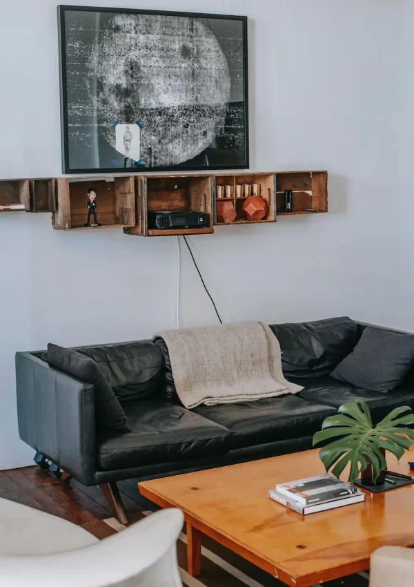 apartment decor living room