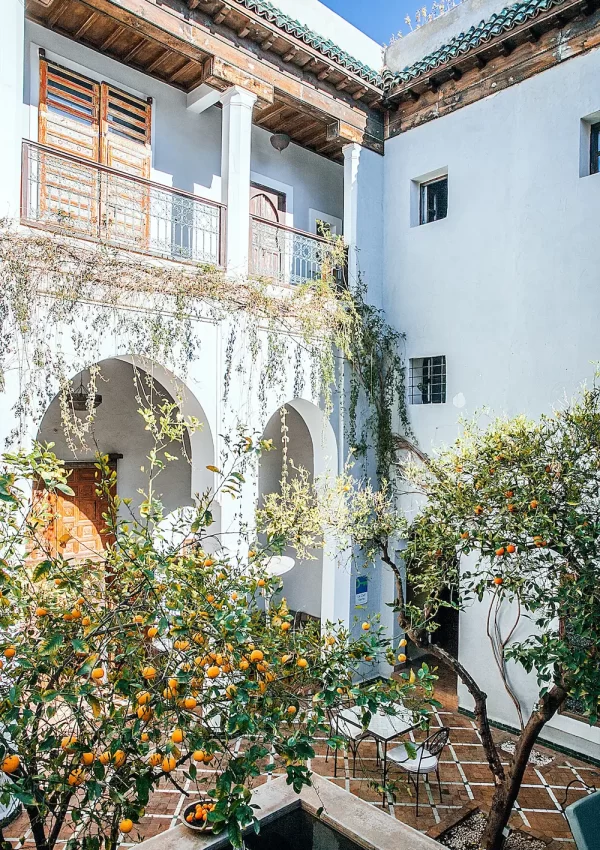 side yard of house with plants
