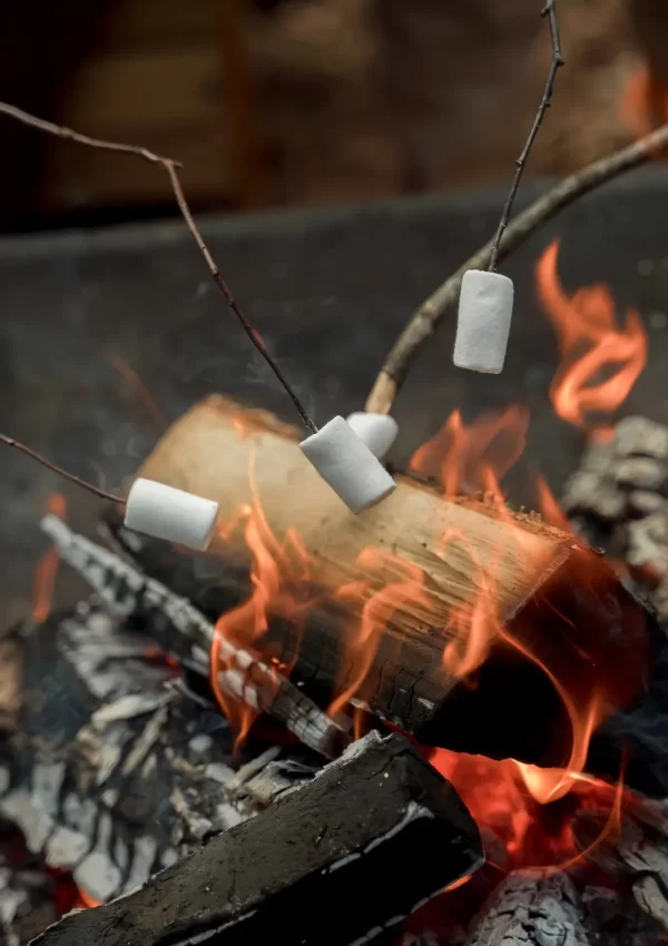fire pit on patio with people roasting marshmallows