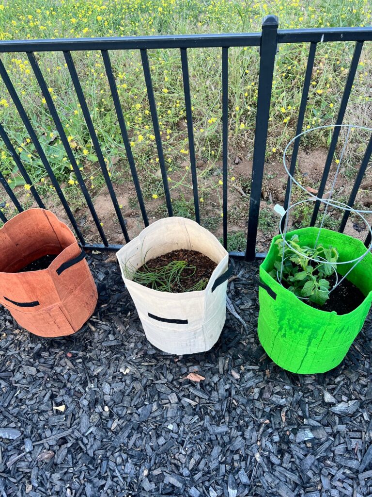 3 buckets outside for bucket gardening