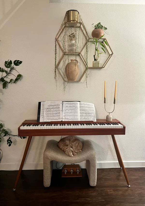 donner digital piano in retro wood color